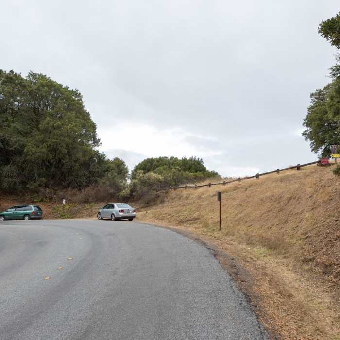 Near Ancient Oaks Trail Near Ancient Oaks Trail
