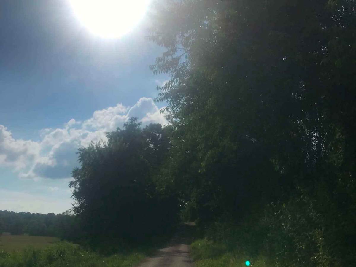 Old Forest Ridge Road photo 2