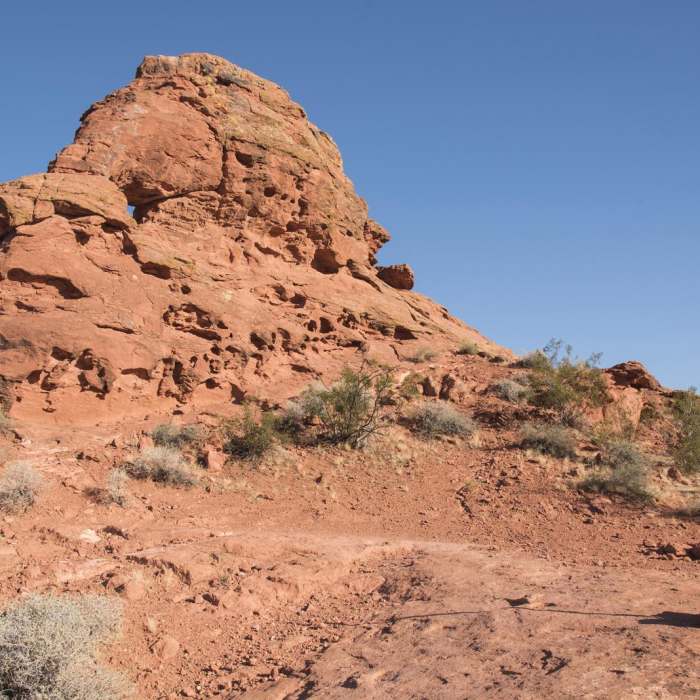 Near Chuckwalla Trail to Scout Cave