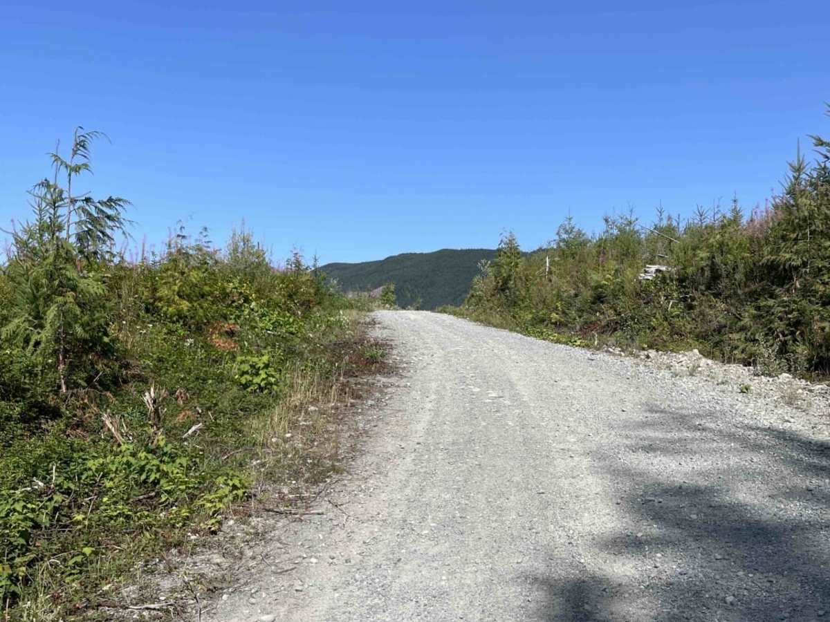 Hwy 19 to Bonanza Lake Rec Site trail photo