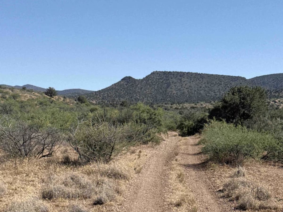 Grief Hill Trailhead - FS 9650C photo 6