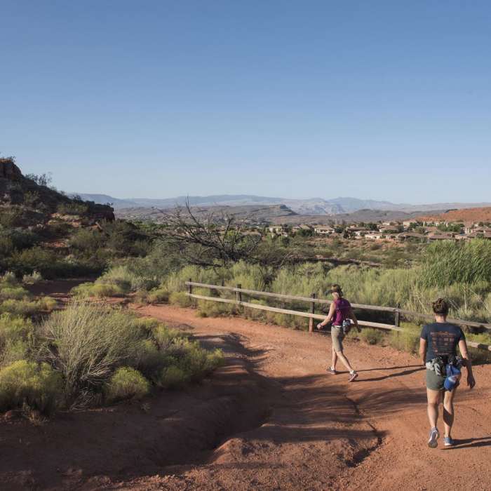 Near Chuckwalla Trail to Scout Cave