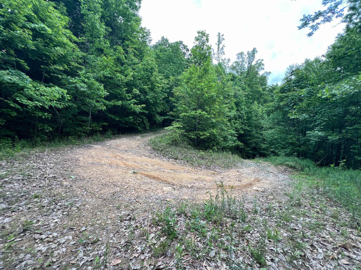 KC24B trail photo
