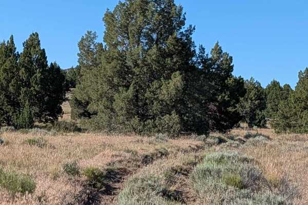 Barntop Spur Bypass