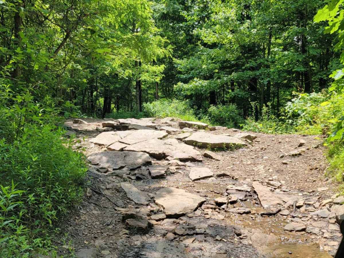 Trail 4 photo 3