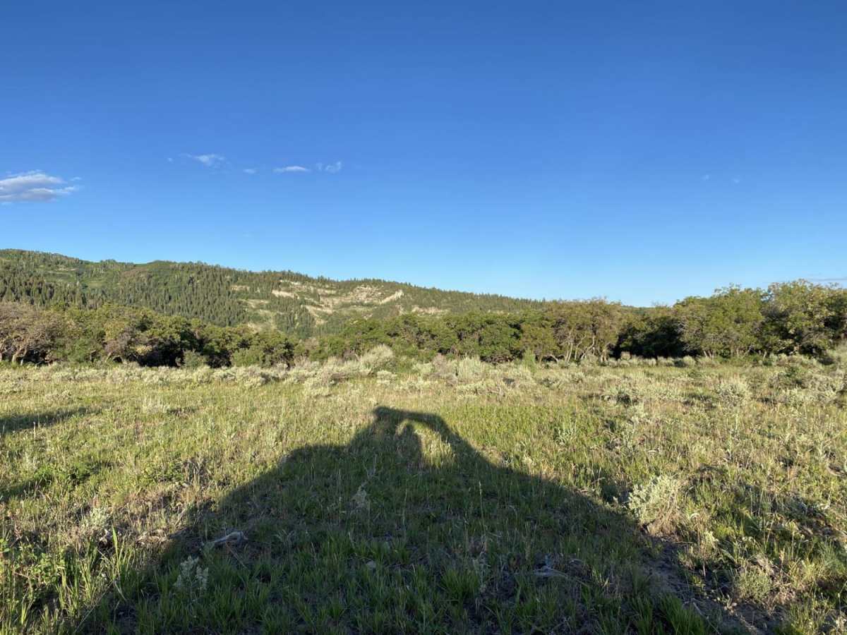 Oak Ridge Trail photo 6