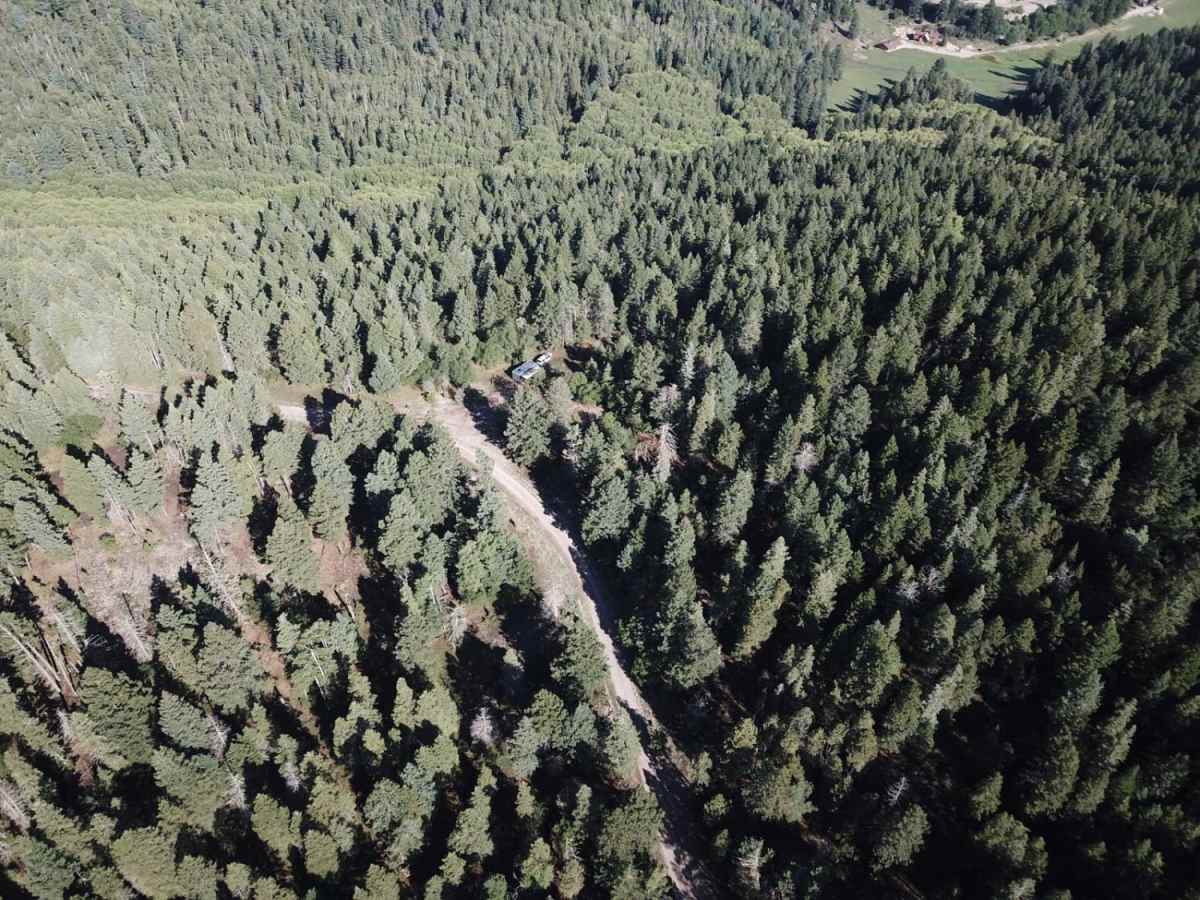 FR623 photo 3