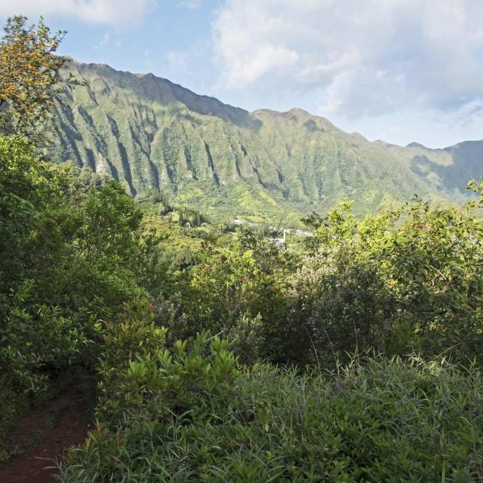 Near Pu'u Ma'eli'eli Trail Near Pu'u Ma'eli'eli Trail