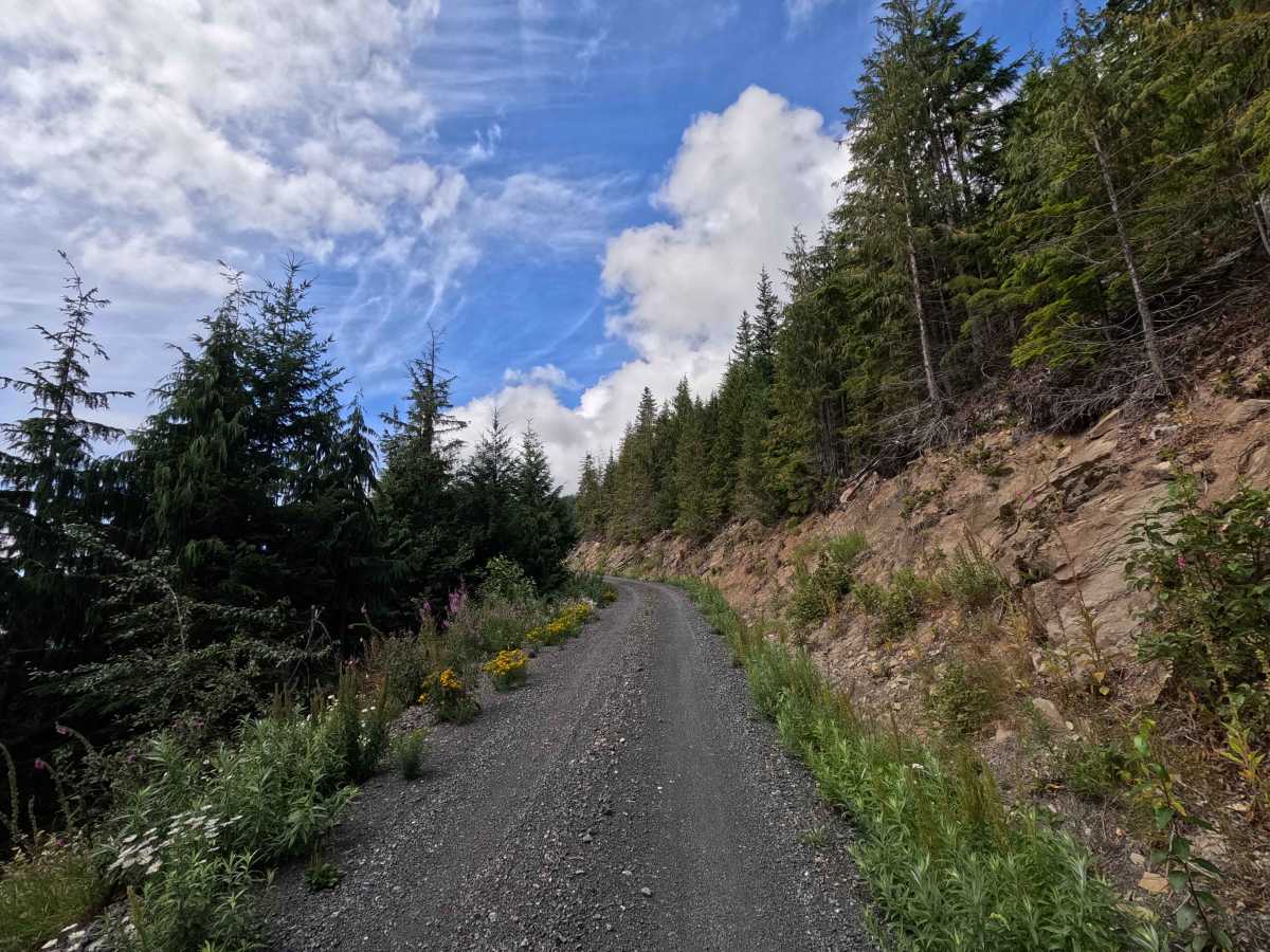 Clearwater - 38 trail photo