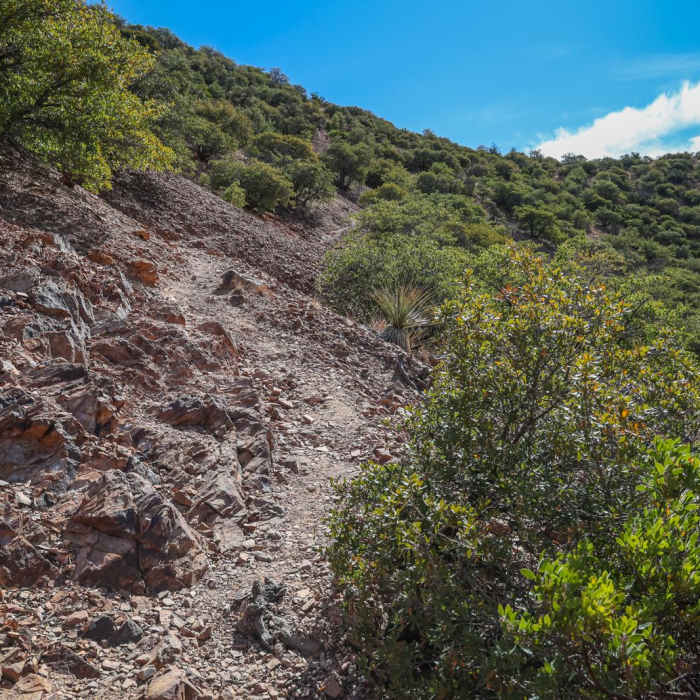 Near Youngblood Hill Near Youngblood Hill