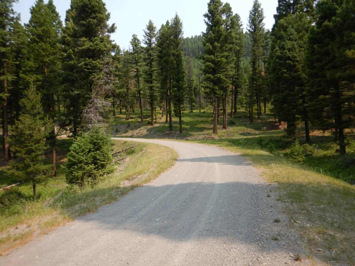 Nevada-Ogden Road photo 3