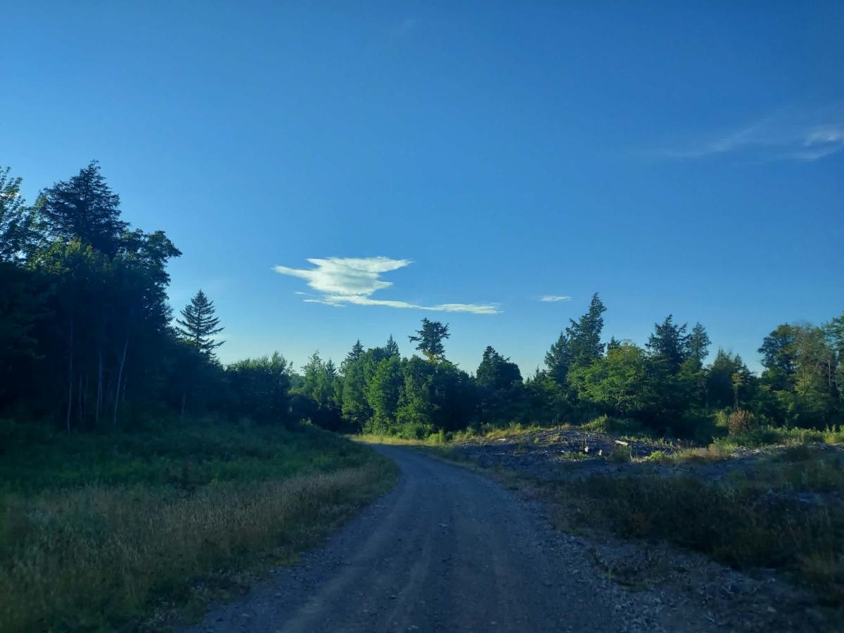 Shaw Camp Road photo 3