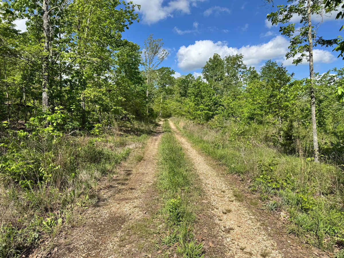 Hamilton Ridge photo 5
