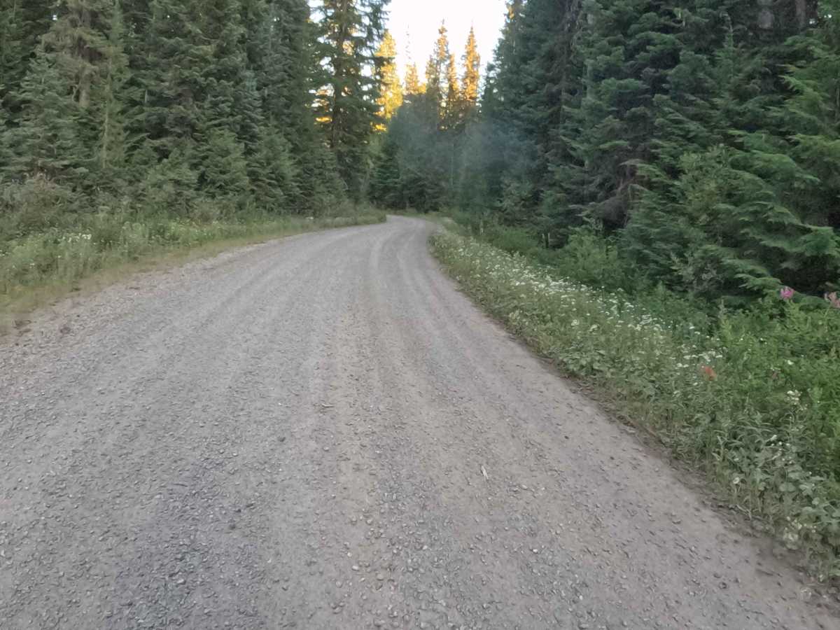 Lava Lake Road - FS 2067000  photo 5