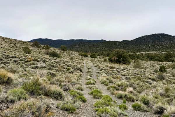 Trails Access Road - FS 44526A