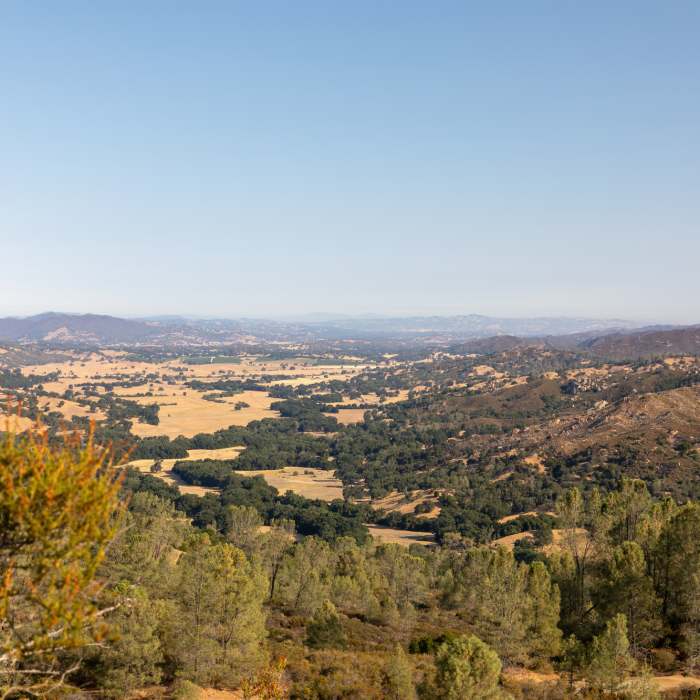 Near Rinconada Trail (14E30)