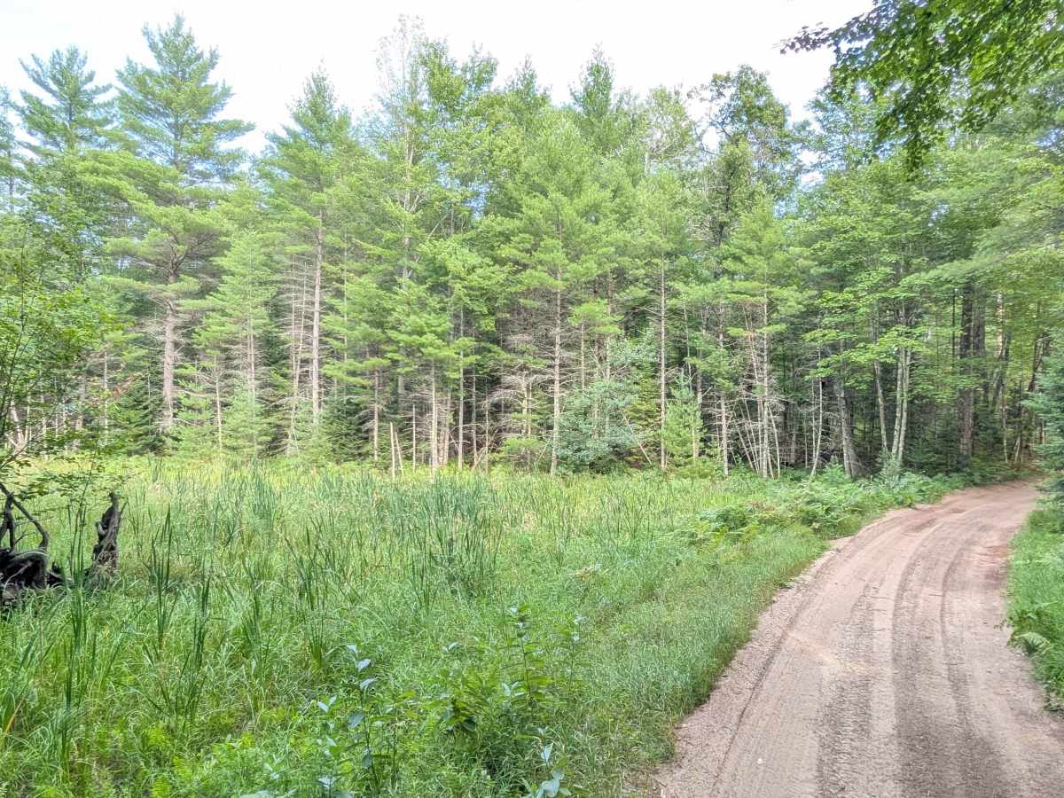 FS 4161 / FS 4163 trail photo