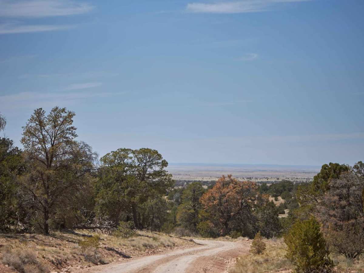 Old 347 Road / Anita photo 5