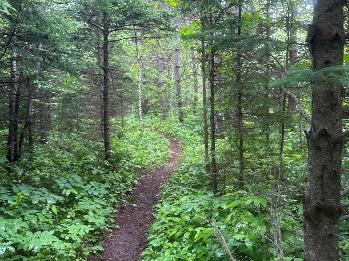 Alger Grade - Trail 10 photo 4