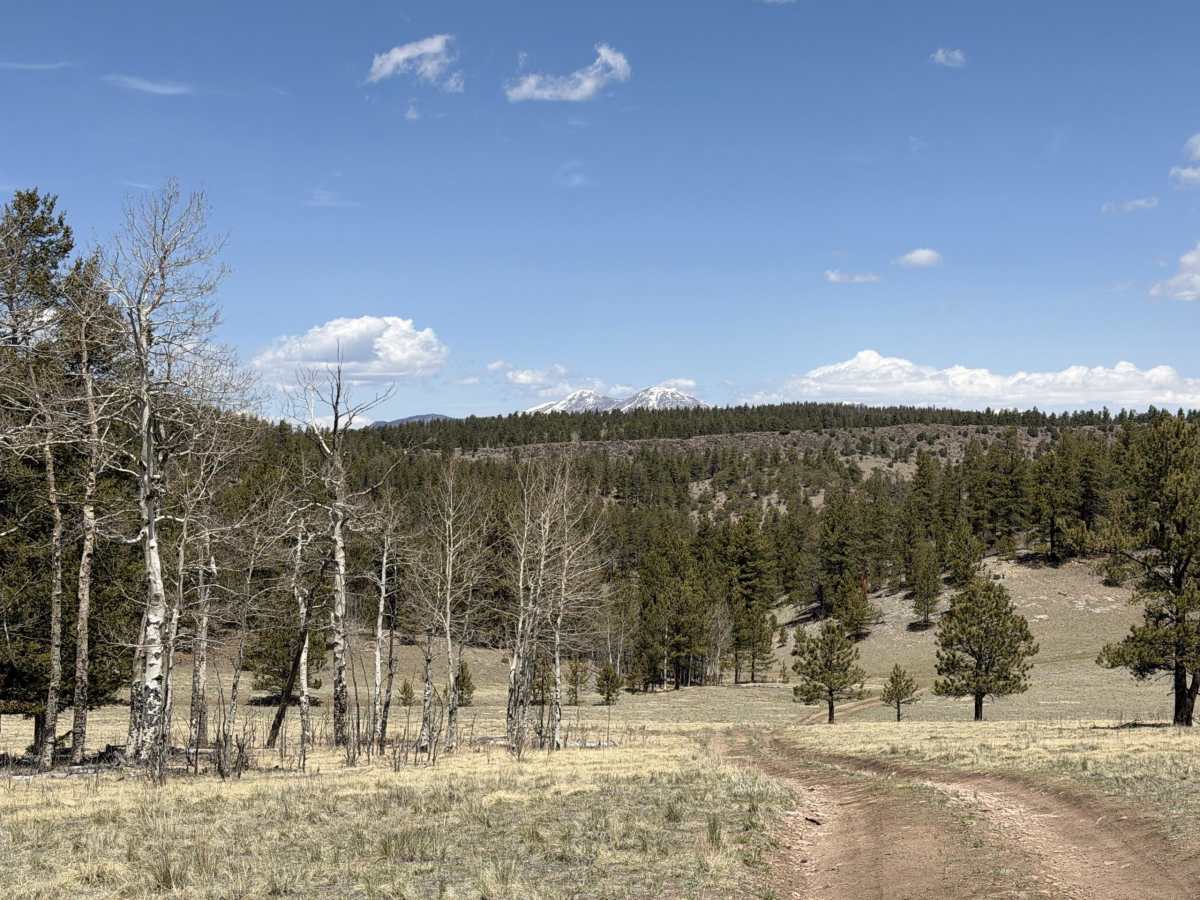 West Columbine Gulch Road photo 3