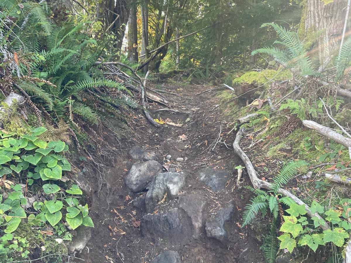 Heads Up trail photo