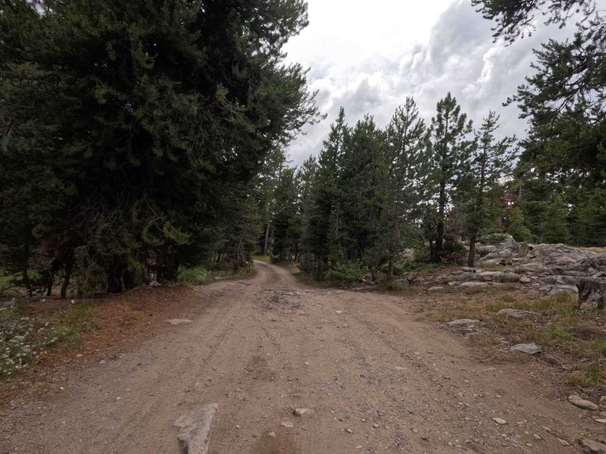 Hope Valley Campground North - FS 31081 photo 6