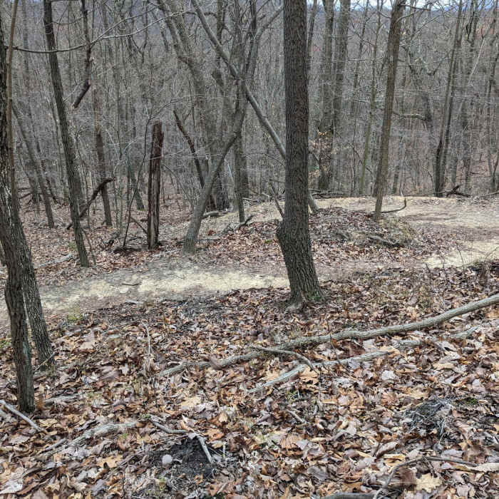 Near River Mountain Road