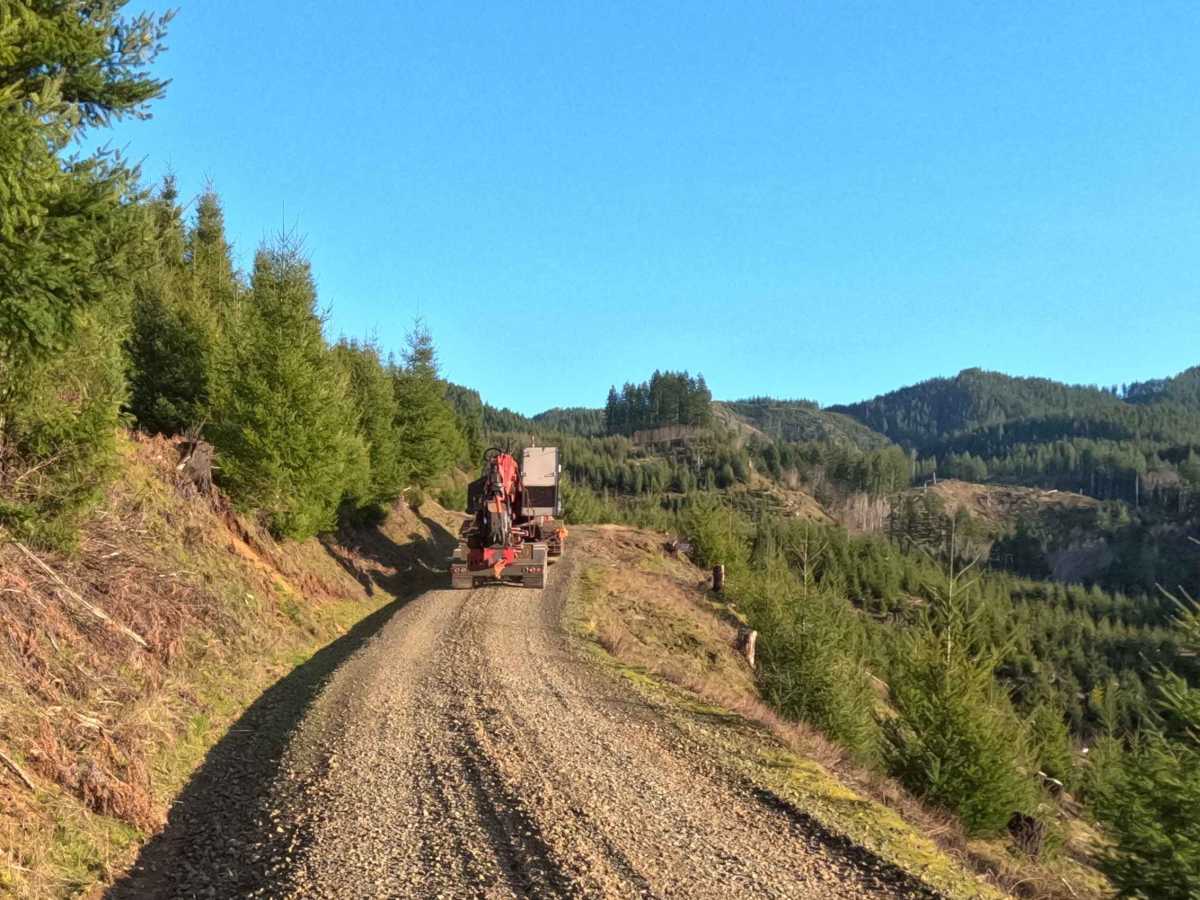 South Fork Trask River Road photo 2