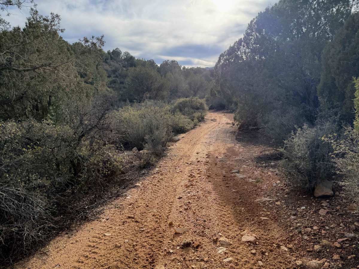H1332/BLM 7226 photo 6