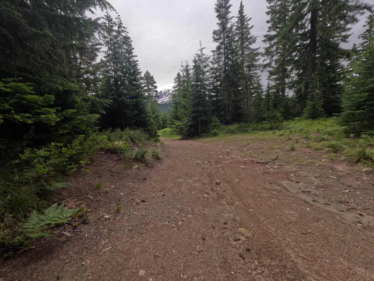 FS 2334015 trail photo