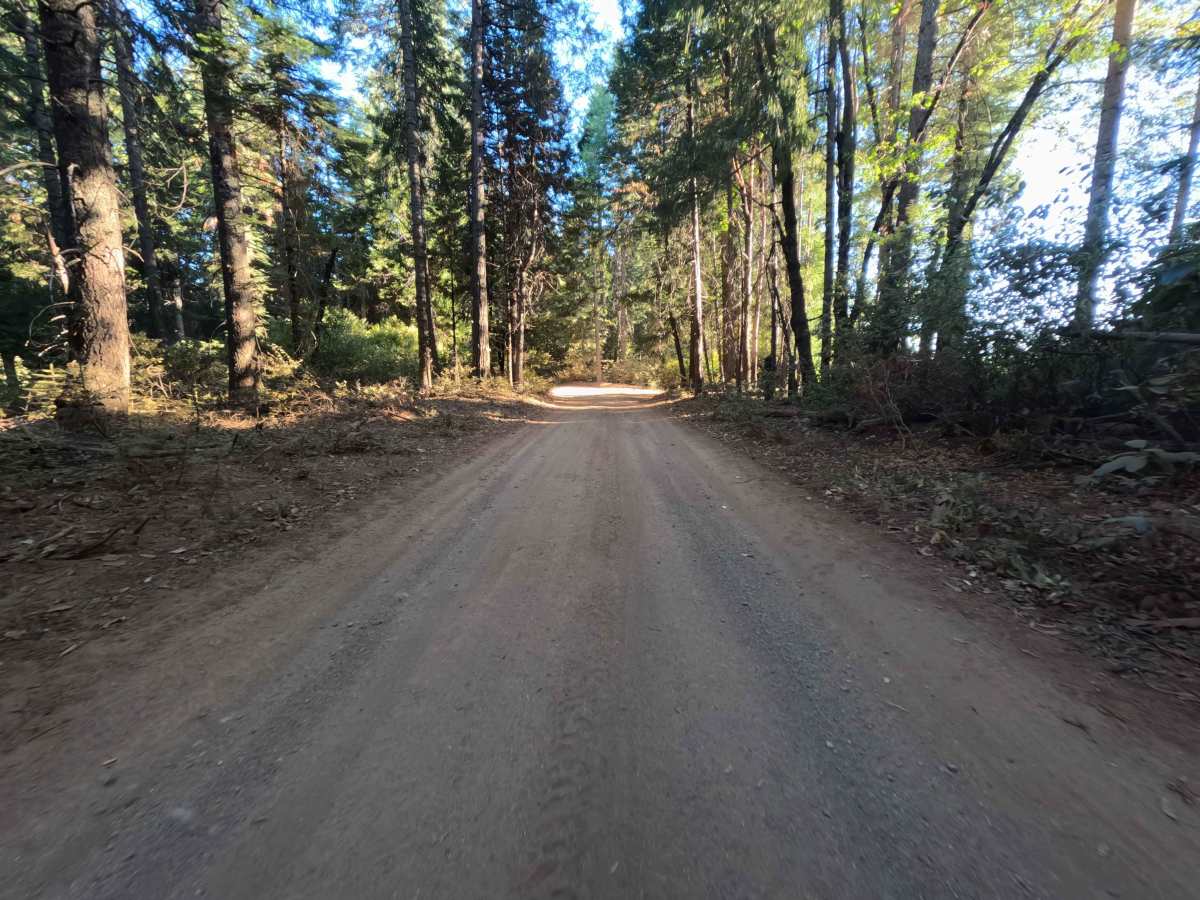 Weed Point - FS 20N14 photo 4