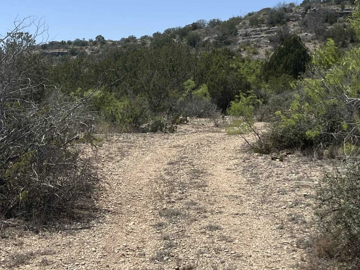 Turn-a-round Trail - V21 photo 3