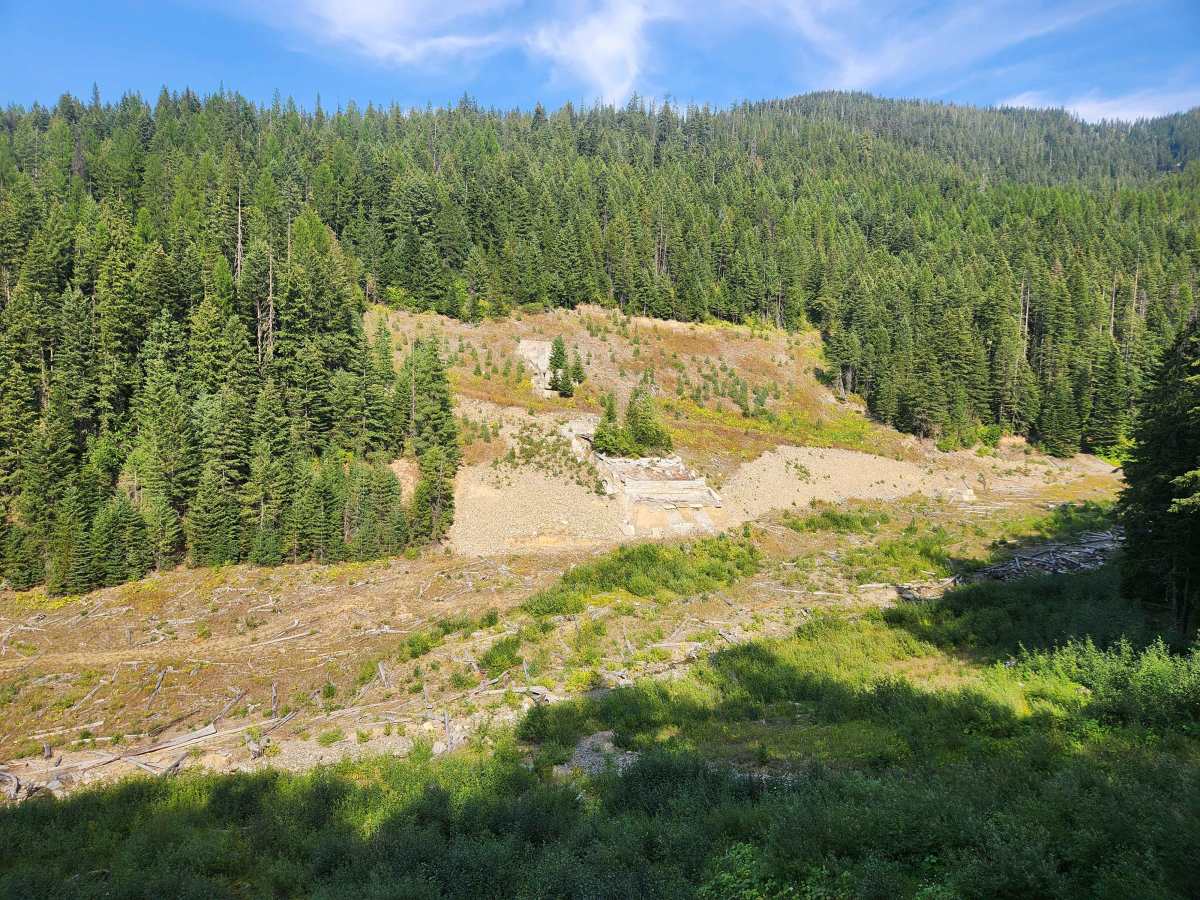 Oregon Toboggan Road trail photo