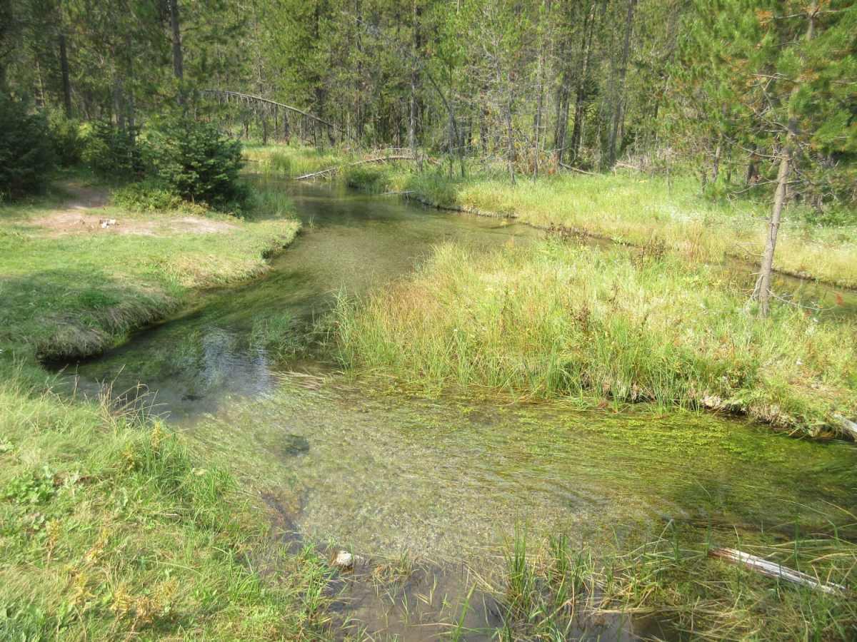 Fish - Chick Creek Roads trail photo