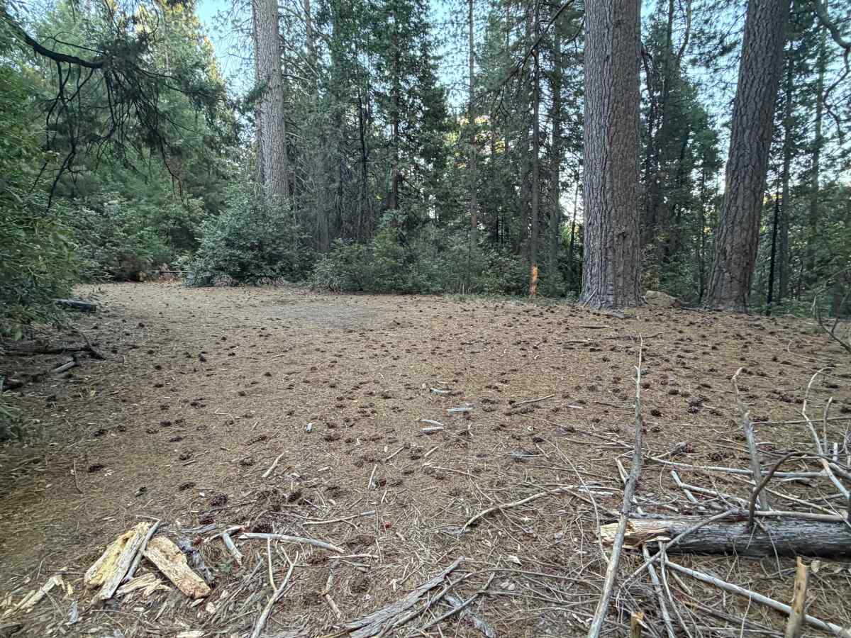 Grizzly Ridge - FS 37 trail photo