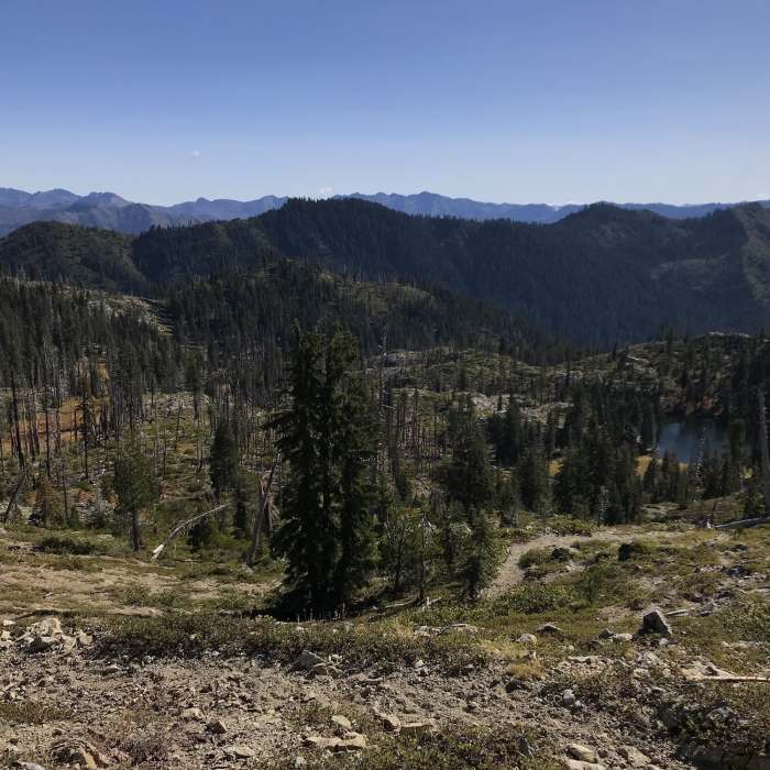 Near Haypress Trail