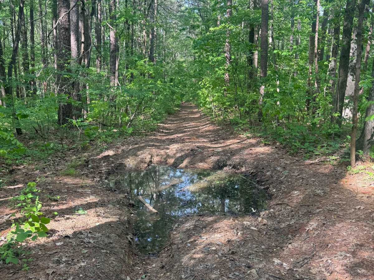 Cadiz Campground Trail photo 5
