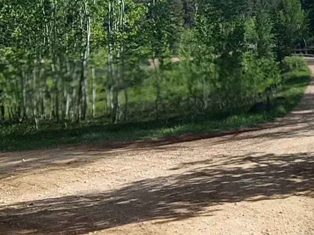 Sage Valley Road trail photo