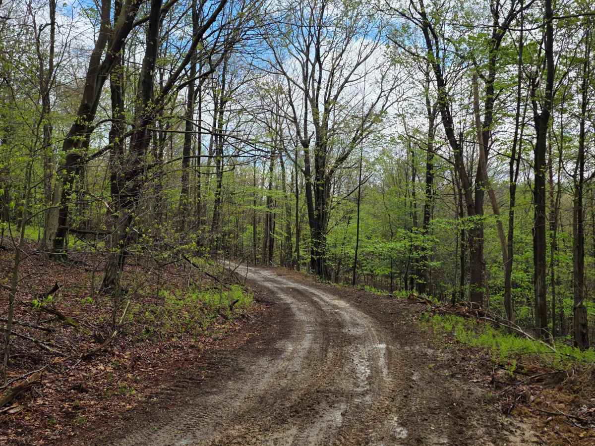 Trail 15B - Rock Run Recreation Area photo 3