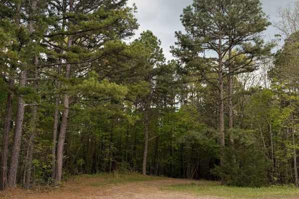 Fern Spring Trail