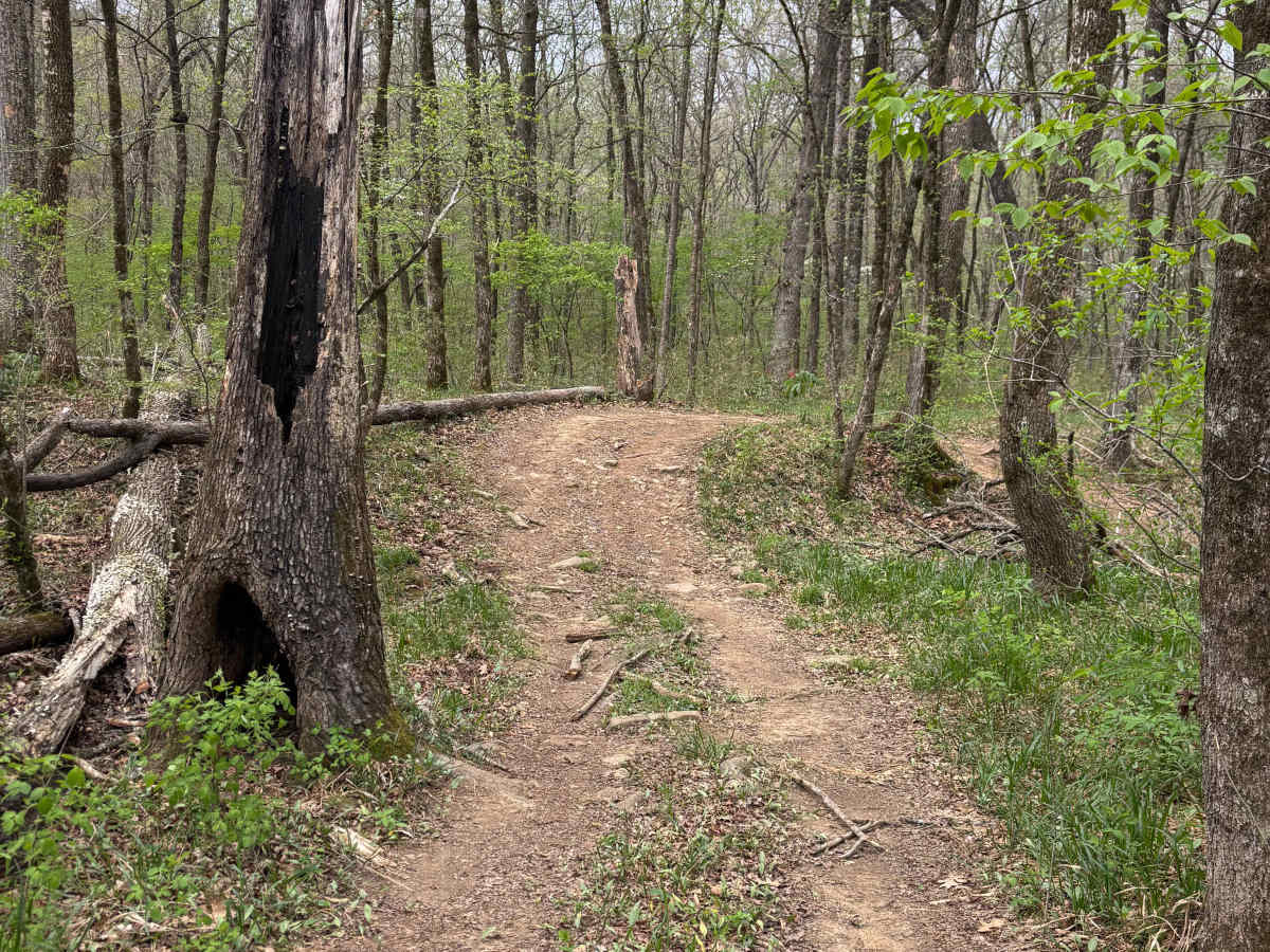 Brock Creek photo 5