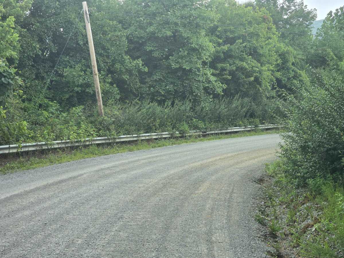 Stinking Creek Road trail photo