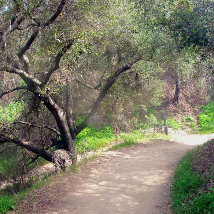 Near Schabarum Trail