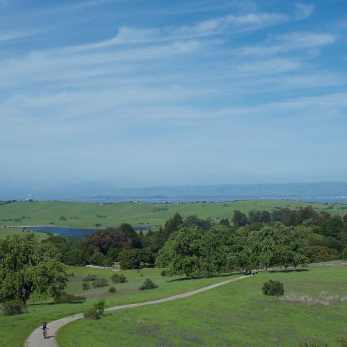 Near Arastradero Short Loop