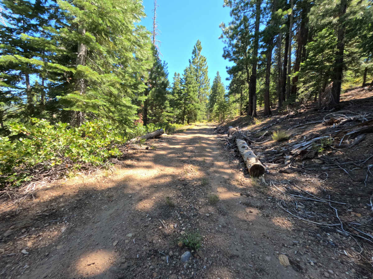 East Kyburz - FS 0450-020 trail photo