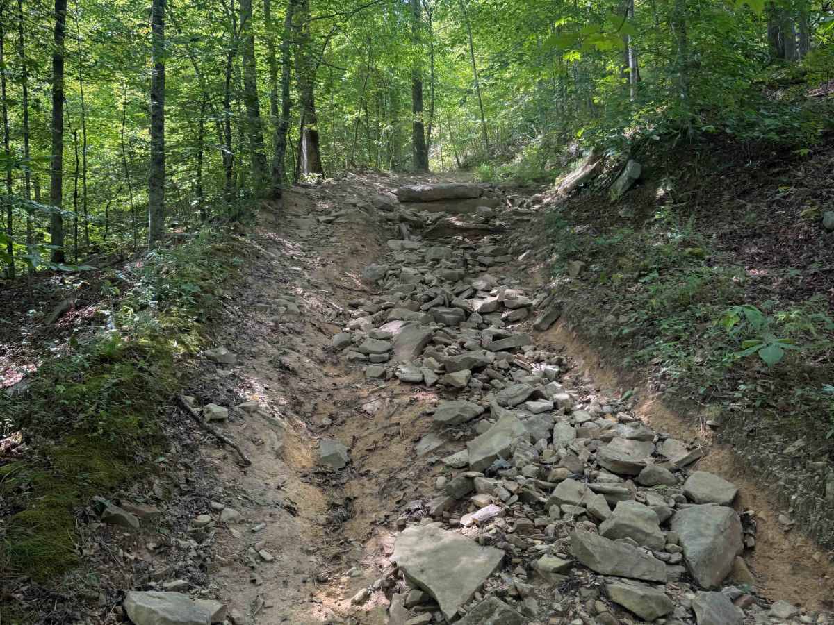 Shack Creek Connector   photo 3