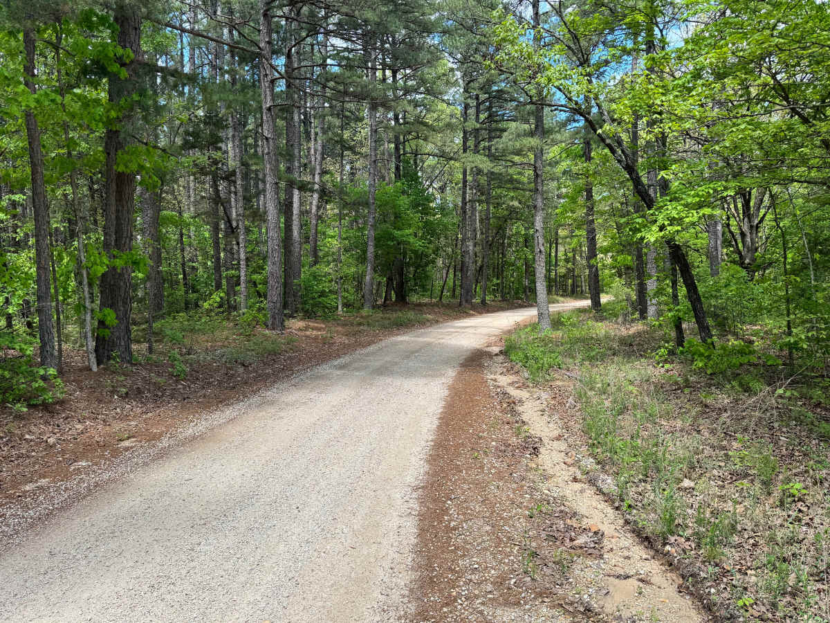 County Road 6630 photo 3