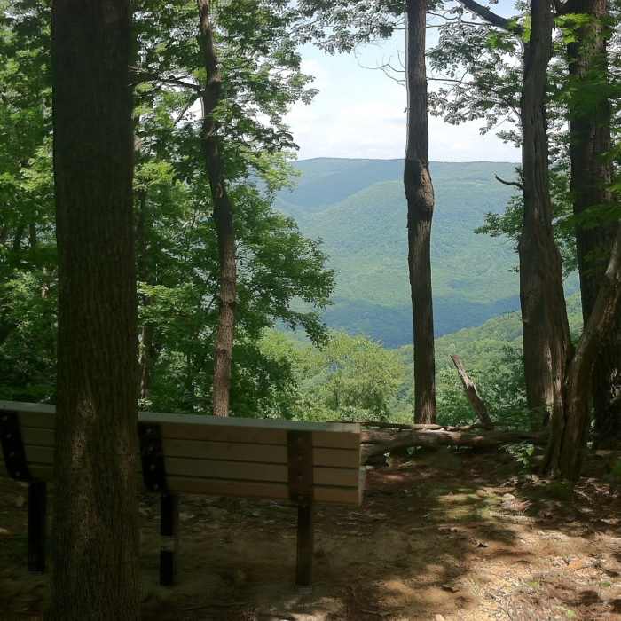 Bench at an outlook over the Youghiogheny River Gorge at the far point on the McCune Trail Near McCune Trail