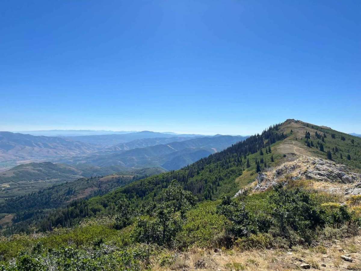 Gold Hill photo 6