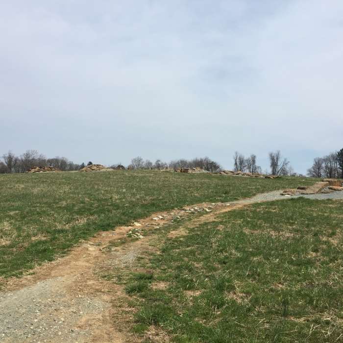 Near Lenape Trail